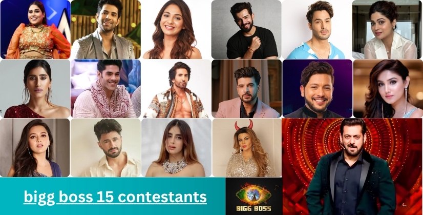 bigg boss 15 contestants