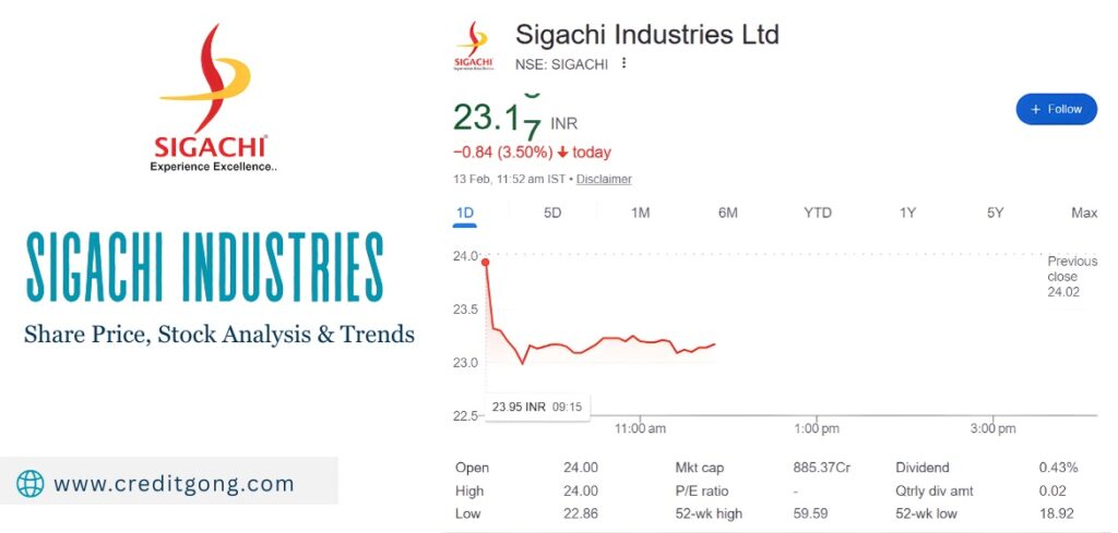 Sigachi Industries Share Price